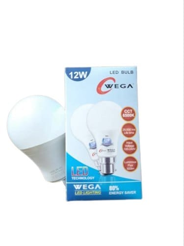 LED  LIGHT BULB 12W